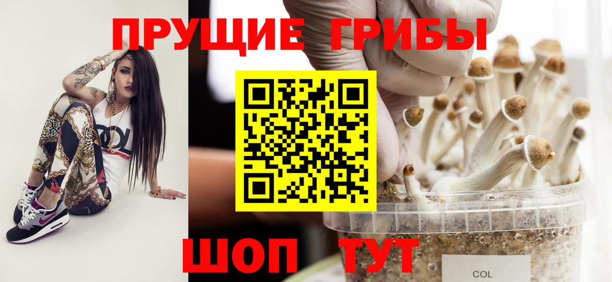 Галлюциногенные грибы Cubensis Шумерля