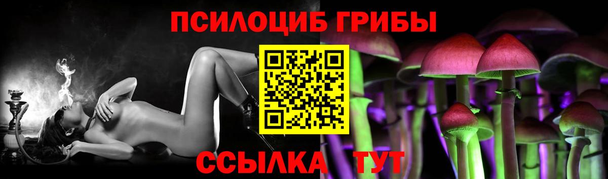 Псилоцибиновые грибы Psilocybine cubensis  Вход с VPN  Псилоцибиновые грибы Psilocybe  Шумерля 